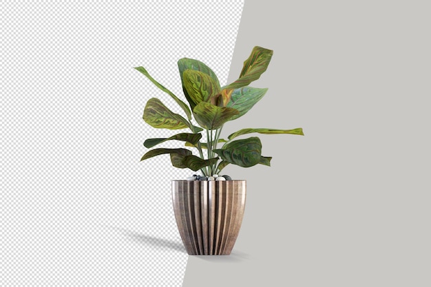 Primo piano sul fiore nel rendering 3d interno del vaso