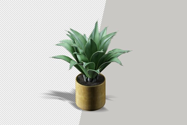 Primo piano sul fiore nel rendering 3d interno del vaso