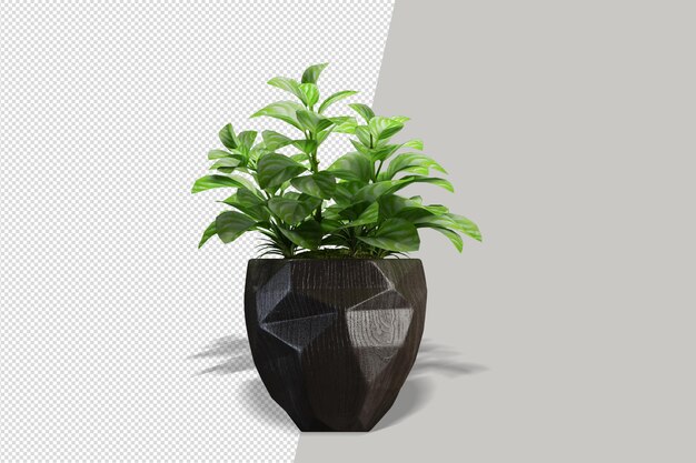 Primo piano sul fiore nel rendering 3d interno del vaso