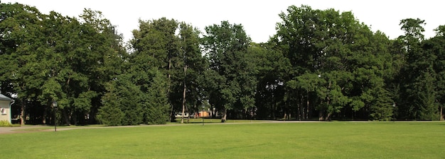 Přírodní krajiny stromů a parků s otevřenými loukami a venkovskými výhledy