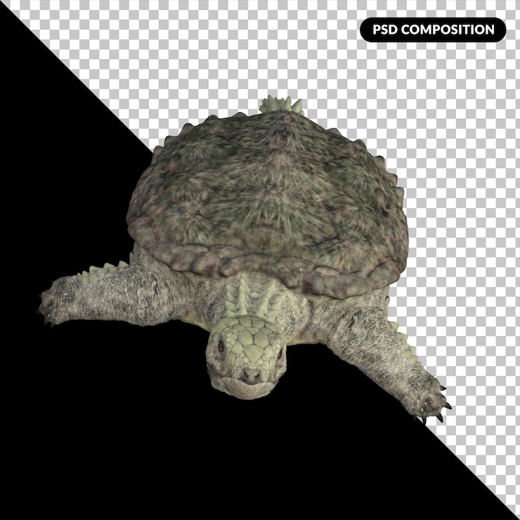 PSD proganochelys dinosaurio tortuga especie aislada 3d render