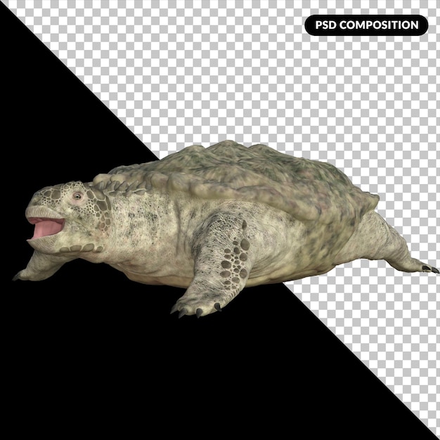 Proganochelys dinosaurio tortuga especie aislada 3d render