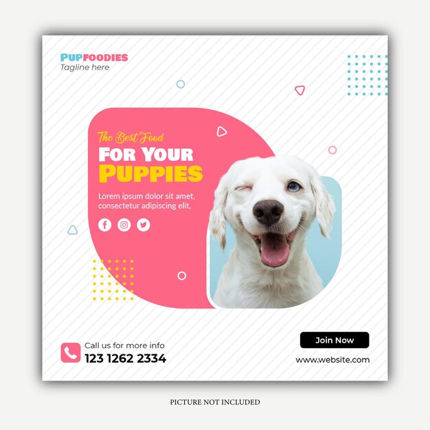 progettazione del modello di cura degli animali domestici