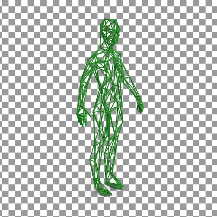 PSD psd 3d body skeleton top su sfondo isolato e trasparente