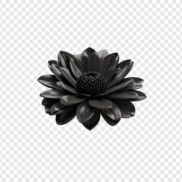 Psd 3d Couleur Noire Fleur Vue Supérieure Pour N'importe Quelle Conception