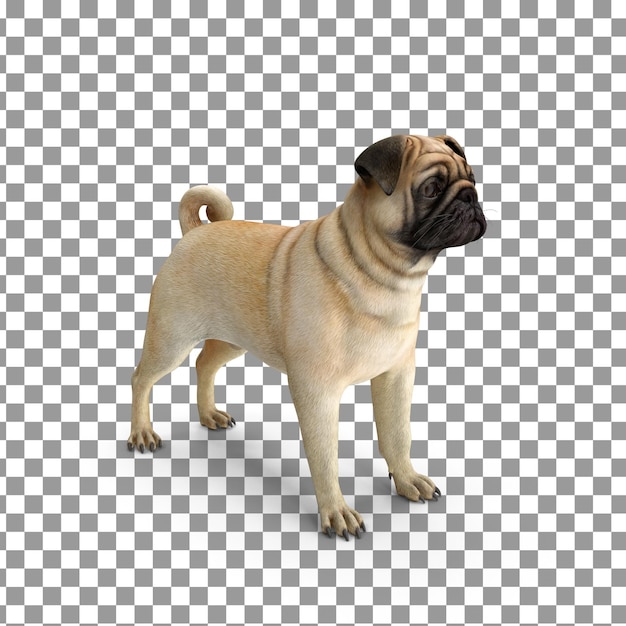 PSD 3D Dog Top em fundo isolado e transparente