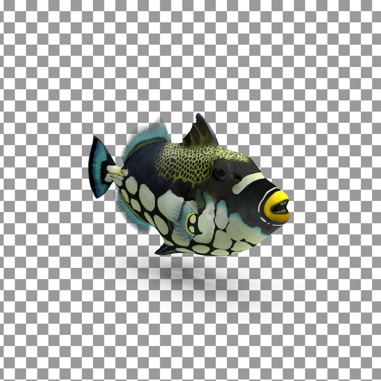 PSD psd 3d fish top en un fondo aislado y transparente