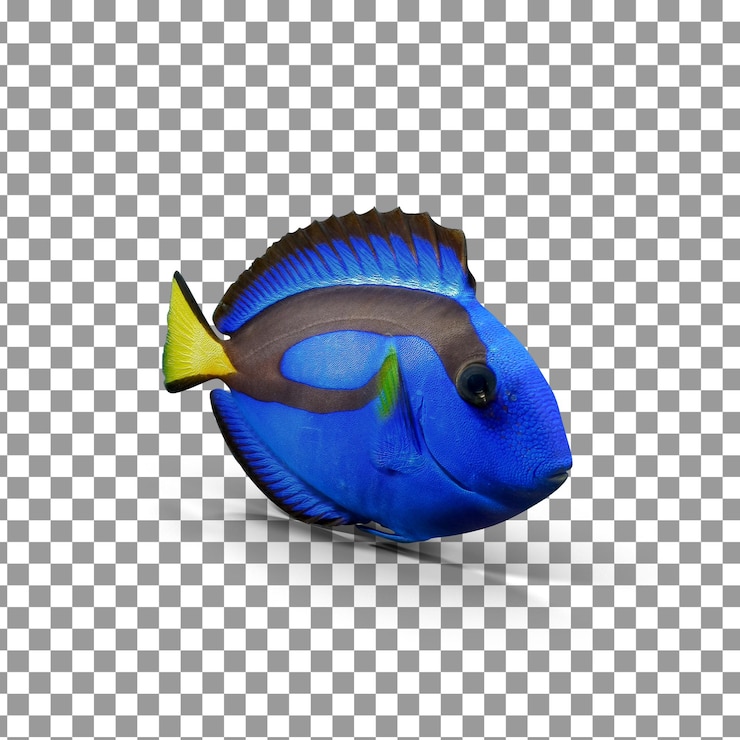PSD psd 3d pacific fish top em fundo isolado e transparente