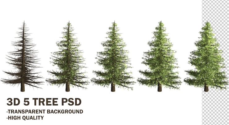 PSD psd 3d-rendering von kiefern-arrangements