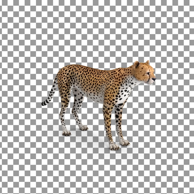 PSD 3D Tiger Top auf isoliertem und transparenten Hintergrund