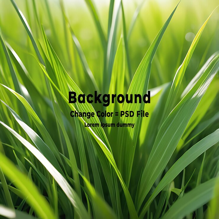 PSD psd a fresh spring sunny garden background of green grass and blurred foliage bokeh