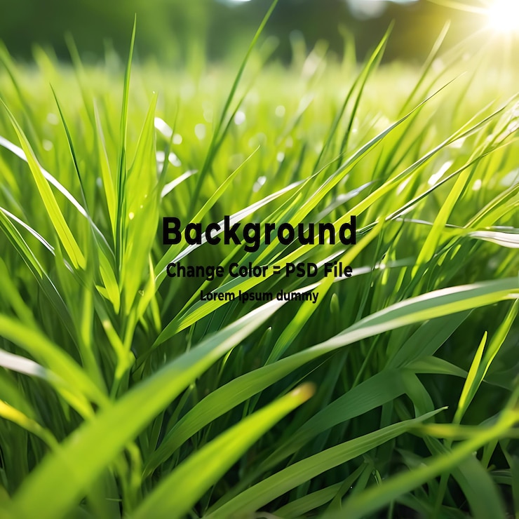 PSD psd a fresh spring sunny garden background of green grass and blurred foliage bokeh