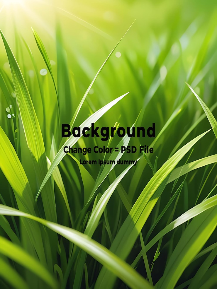 PSD psd a fresh spring sunny garden background of green grass and blurred foliage bokeh