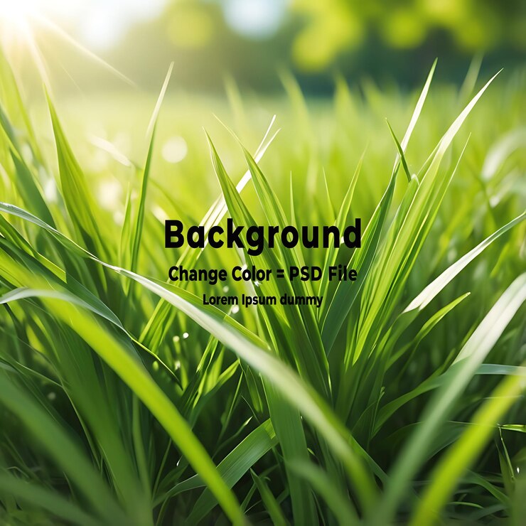 PSD psd a fresh spring sunny garden background of green grass and blurred foliage bokeh