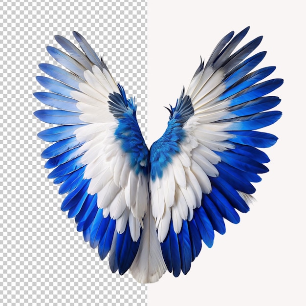 PSD psd d'une aile d'oiseau blanche et bleue sur fond transparent