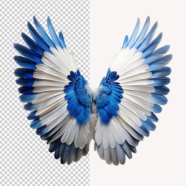 PSD psd d'une aile d'oiseau blanche et bleue sur fond transparent