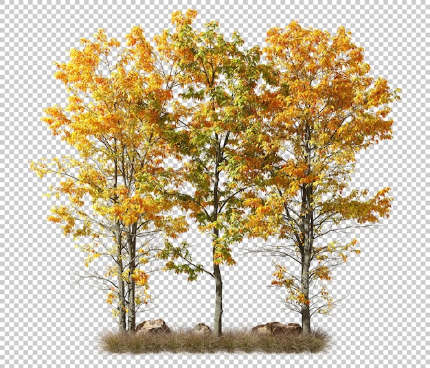 PSD aísla colores árboles de otoño con hierba seca en fondos transparentes renderizado en 3D