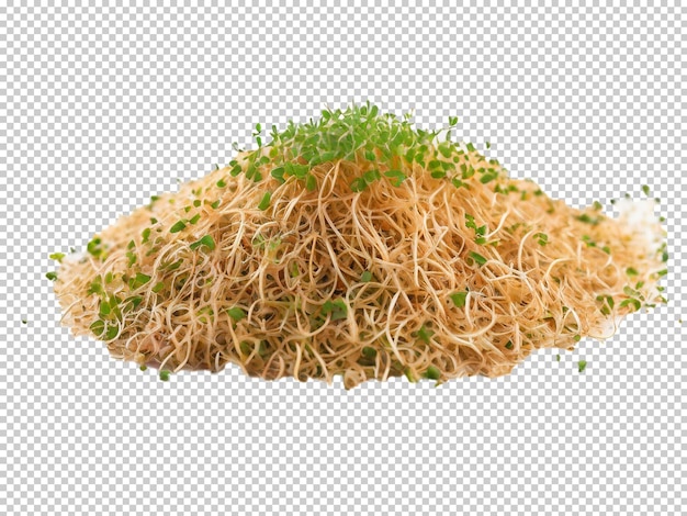 Psd alfalfa sprouts png em um fundo transparente