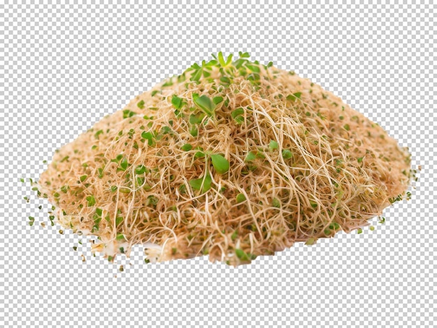 PSD psd alfalfa sprouts png en un fondo transparente