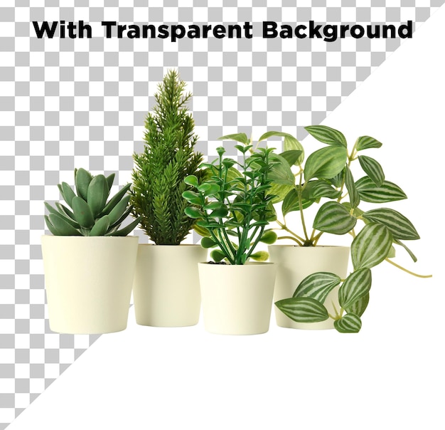 PSD d'arrière-plan transparent par moazzamalitipu sur Freepik