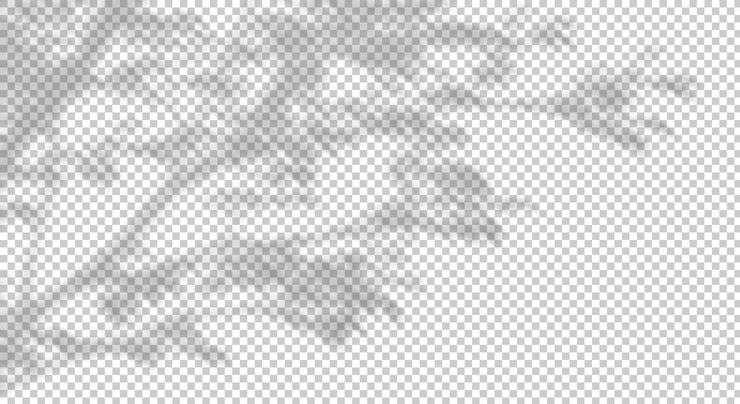 PSD psd baumzweig-laub-schattenbewegung auf transparenten hintergründen 3d-illustration