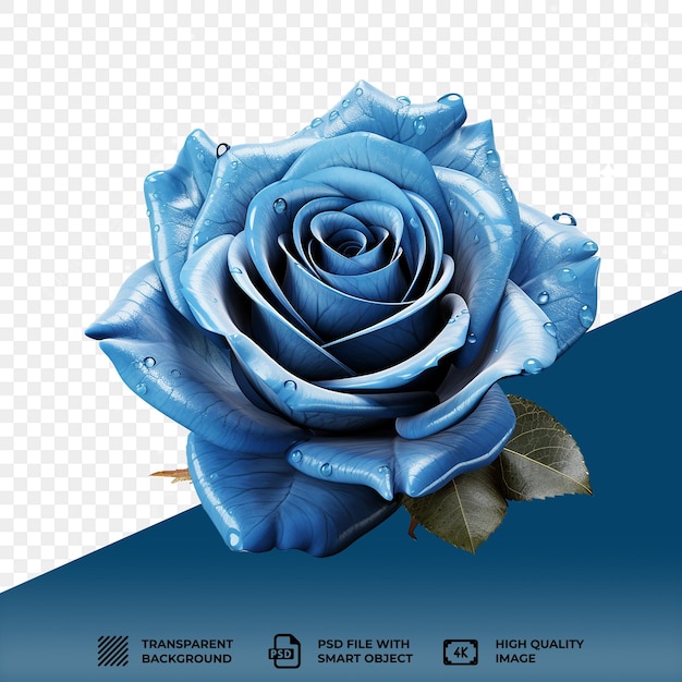 PSD psd blaue rose isoliert