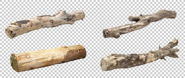 PSD Blockbäume Hartholzkollektionen Ausschnitte Hintergründe 3D-Rendering