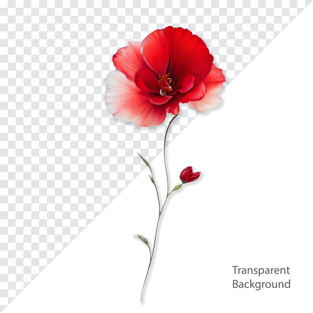 PSD psd-blume transparenter hintergrund