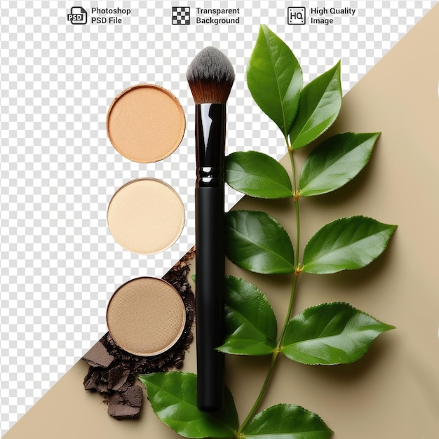 PSD psd bonita glamour mulher cosméticos beige e nu sombras com pincel e folhas de ramo verde isolado