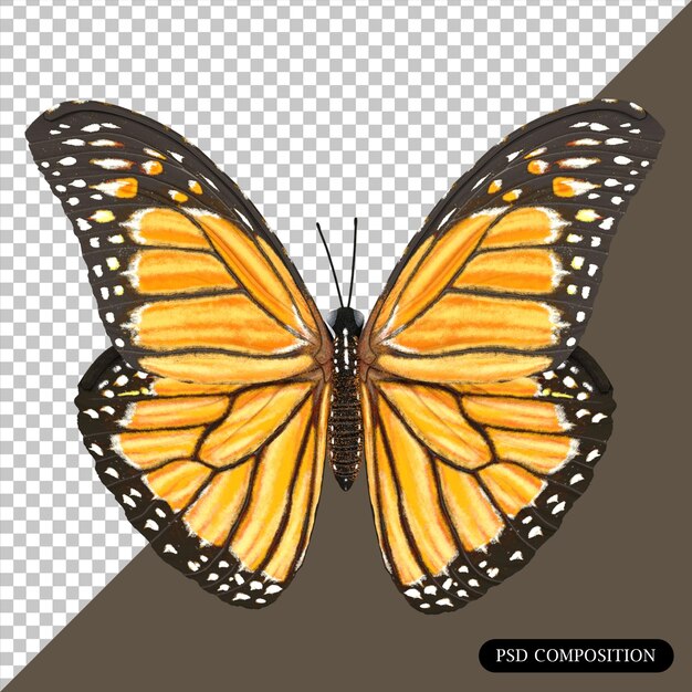 PSD Butterfly isoliertes 3D-Rendering