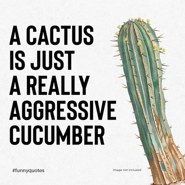 PSD Un cactus es sólo una plantilla de post de diseño de tipografía de Instagram