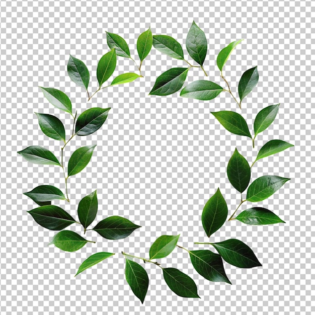 PSD psd d'un cercle de feuilles vertes sur un fond transparent