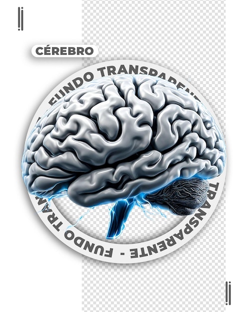 PSD psd cérebro humano 3d renderizado isolado