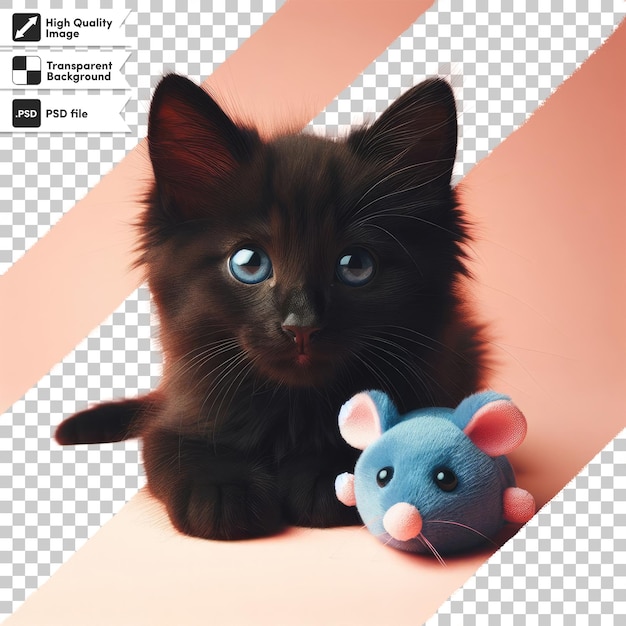 PSD psd chat noir avec jouet de souris sur fond transparent