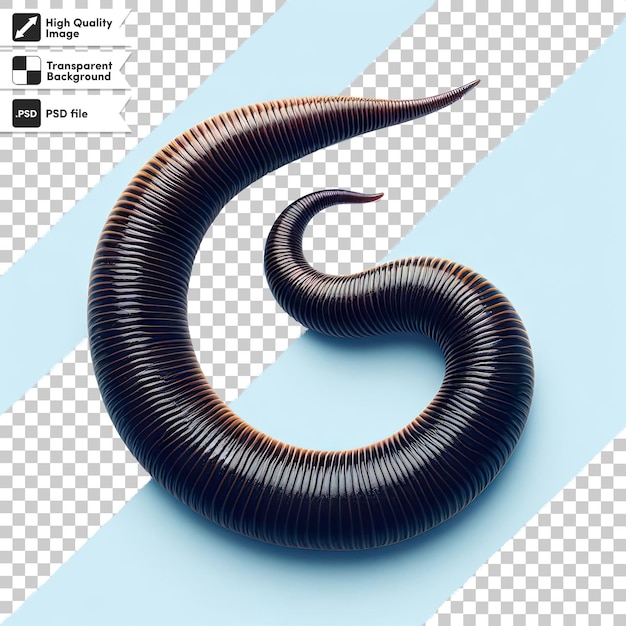 PSD psd close-up de um worm em fundo transparente