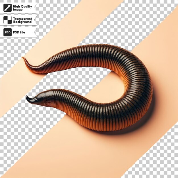 PSD psd close-up de um worm em fundo transparente