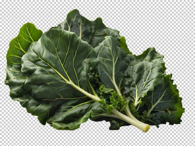 PSD psd collard greens png em um fundo transparente