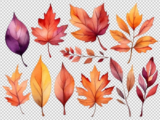 PSD psd de un conjunto de hojas de otoño colección de acuarelas