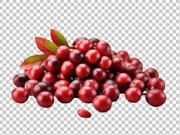 Psd de un cranberry