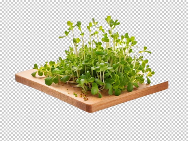 Psd cress png en un fondo transparente