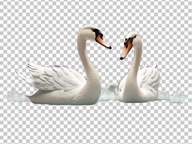 PSD psd d'un cygne 3d