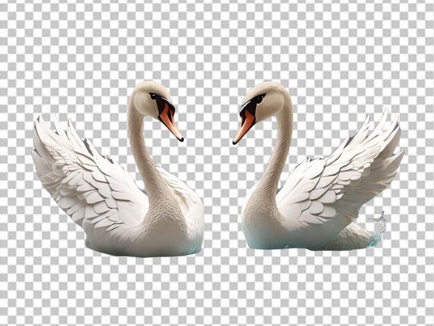 Psd D'un Cygne 3d