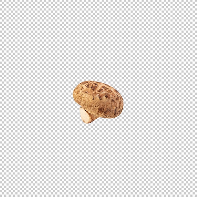 Psd-Datei zum Ausschneiden von Shiitake-Pilzen
