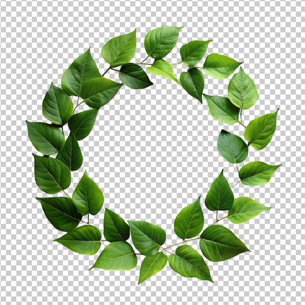 PSD psd de um círculo de folhas verdes em fundo transparente