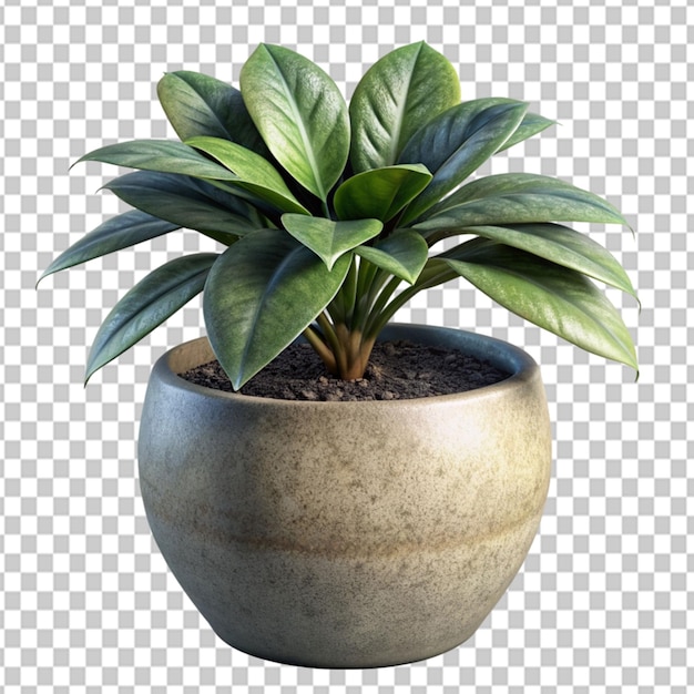 PSD psd de uma planta em vaso em renderização 3d em fundo transparente