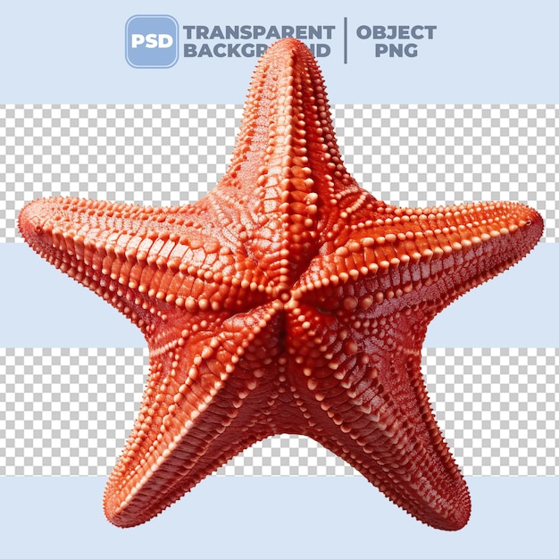 PSD di sfondo trasparente di stelle di mare PNG