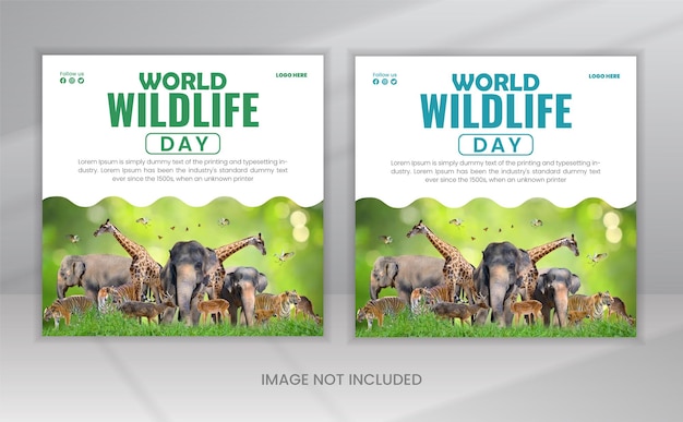 PSD día mundial de la vida silvestre redes sociales plantilla de publicación de Instagram para la vida silvent