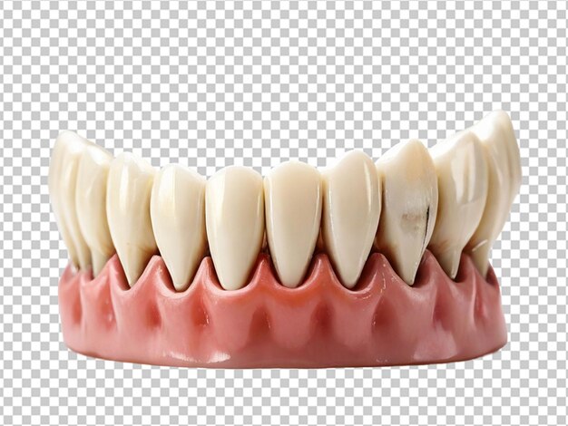 PSD psd de un diente en un fondo transparente.