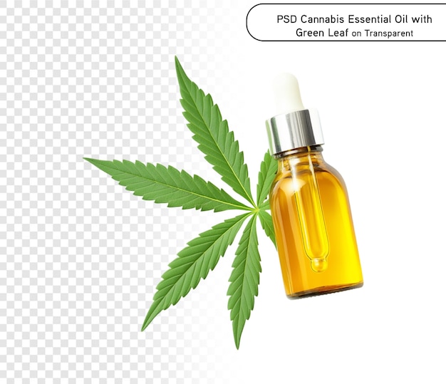 psd e png Óleo Essencial de Cannabis com Folha Verde em Fundo Transparente