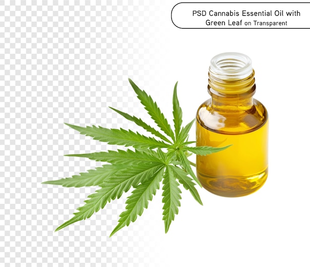 psd e png Óleo Essencial de Cannabis com Folha Verde em Fundo Transparente